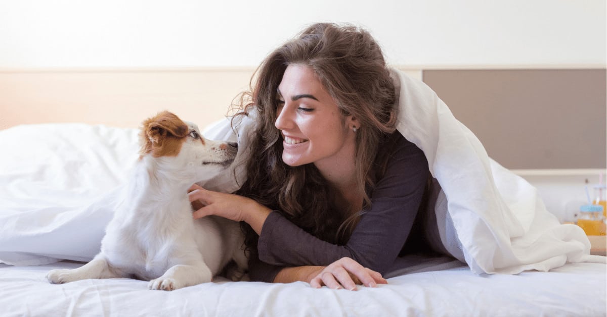 Having a dog in bed with you may help you sleep better!