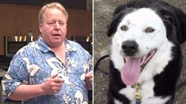 Man Rescues Dog.Then Dog Rescues Man