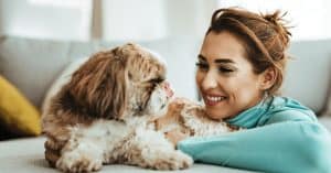 essential puppy care tips